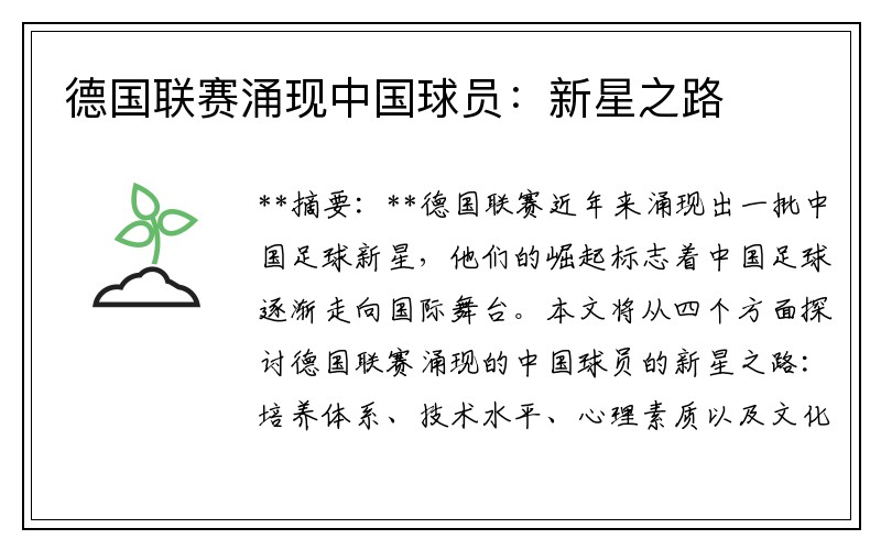 德国联赛涌现中国球员：新星之路