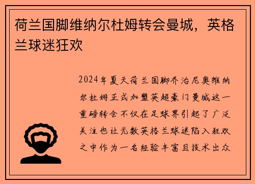 荷兰国脚维纳尔杜姆转会曼城，英格兰球迷狂欢